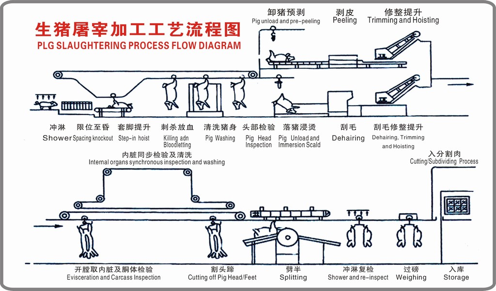 生豬屠宰工藝流程圖