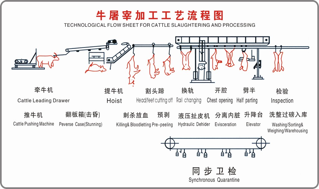 牛屠宰工藝流程圖