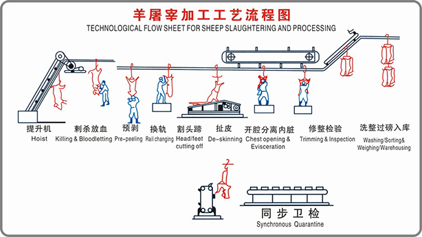 羊屠宰工藝流程圖
