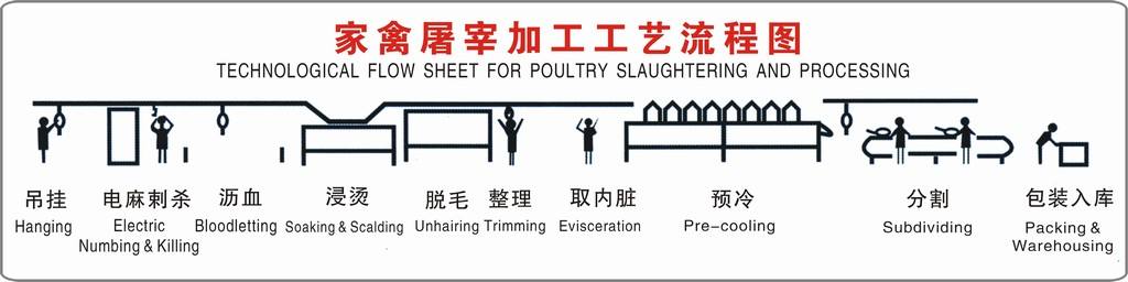 家禽屠宰工藝流程圖